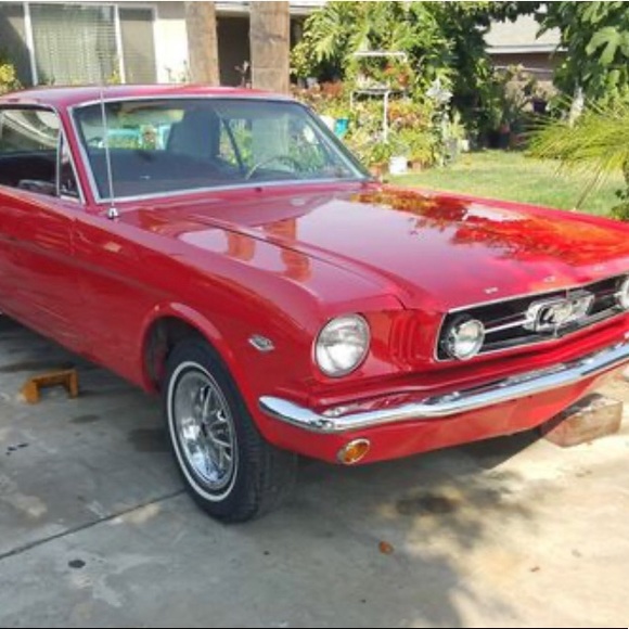 Meet your Posher, Sebastian - Picture 1 of 1